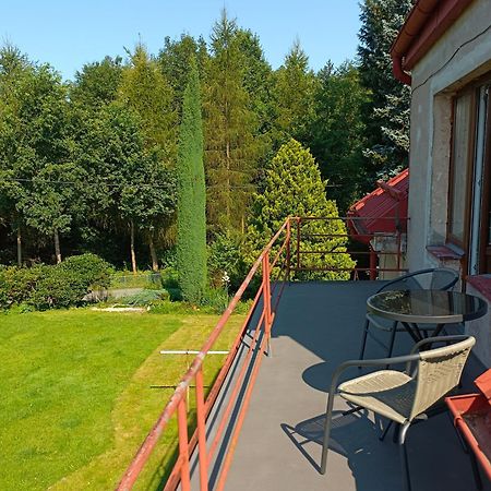 Apartman Za Lesem Červený Kostelec Eksteriør bilde